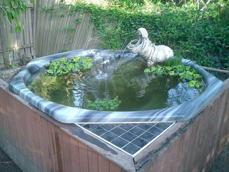 The Reason for Algae Growth in Your Hot Tub