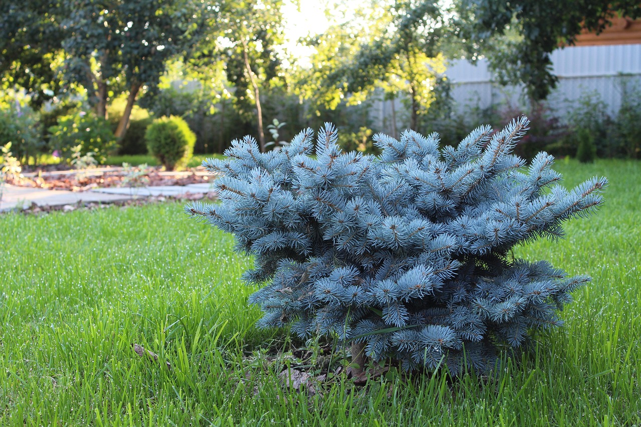 Landscape design, improvement, landscaping — Boost Your Trading Strategy with Raydium Exchange