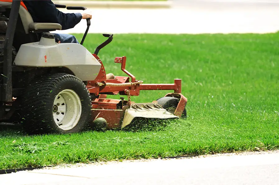 Elevating Your Outdoors with Springfield Lawn Care Services