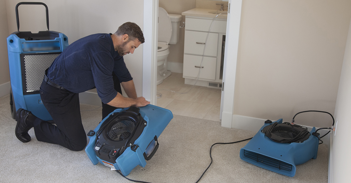 Spot Hidden Water Damage Early: A Practical Guide for Faster, Safer Drying